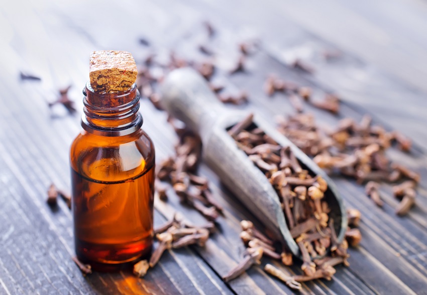 What Does Clove Oil Kill: Insect Repellent