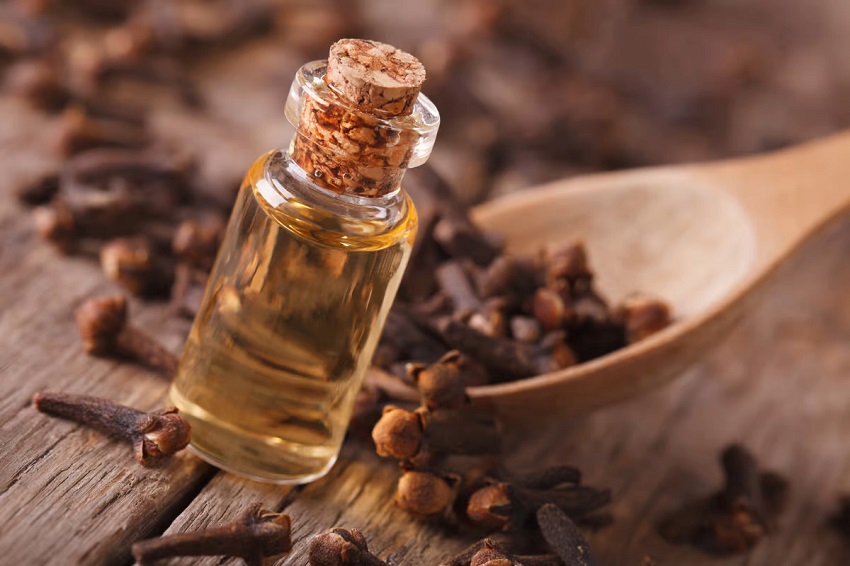 What Does Clove Oil Kill? A Natural Solution for Various Applications