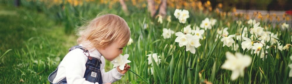 In late spring, consider planting flowers