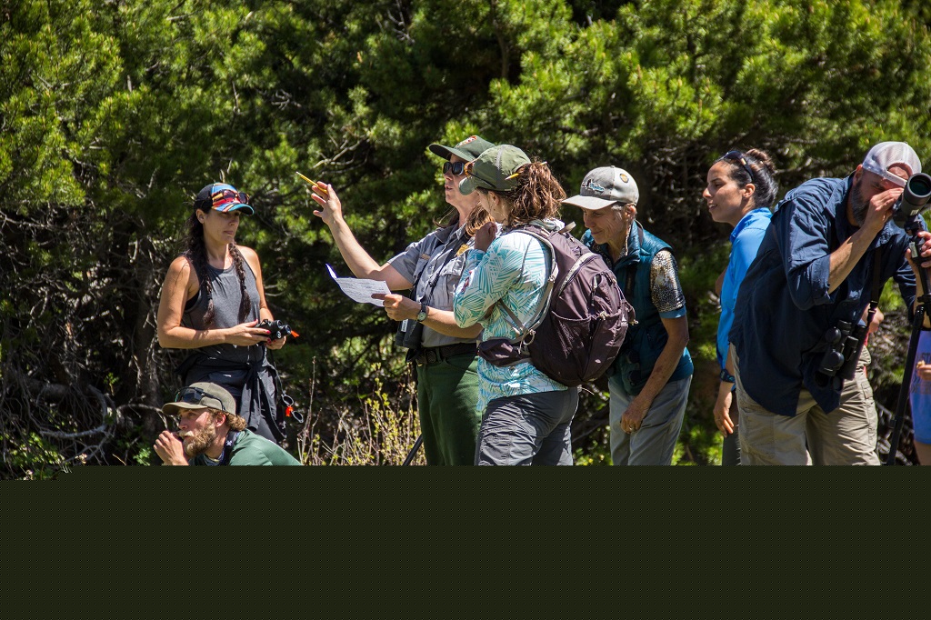 What is the best use of citizen science?
